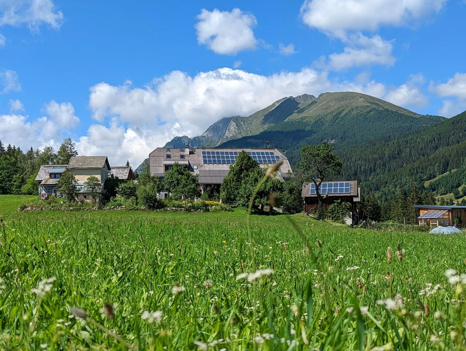 Ziege wird von junger Frau händisch gemolken