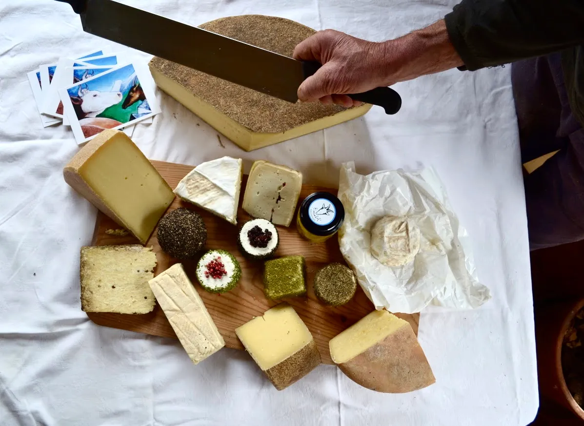 Käsereifung im Keller